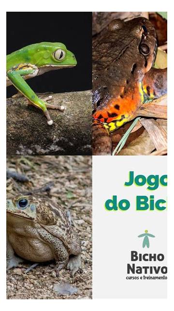 Captura de tela