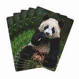 panda short deck poker